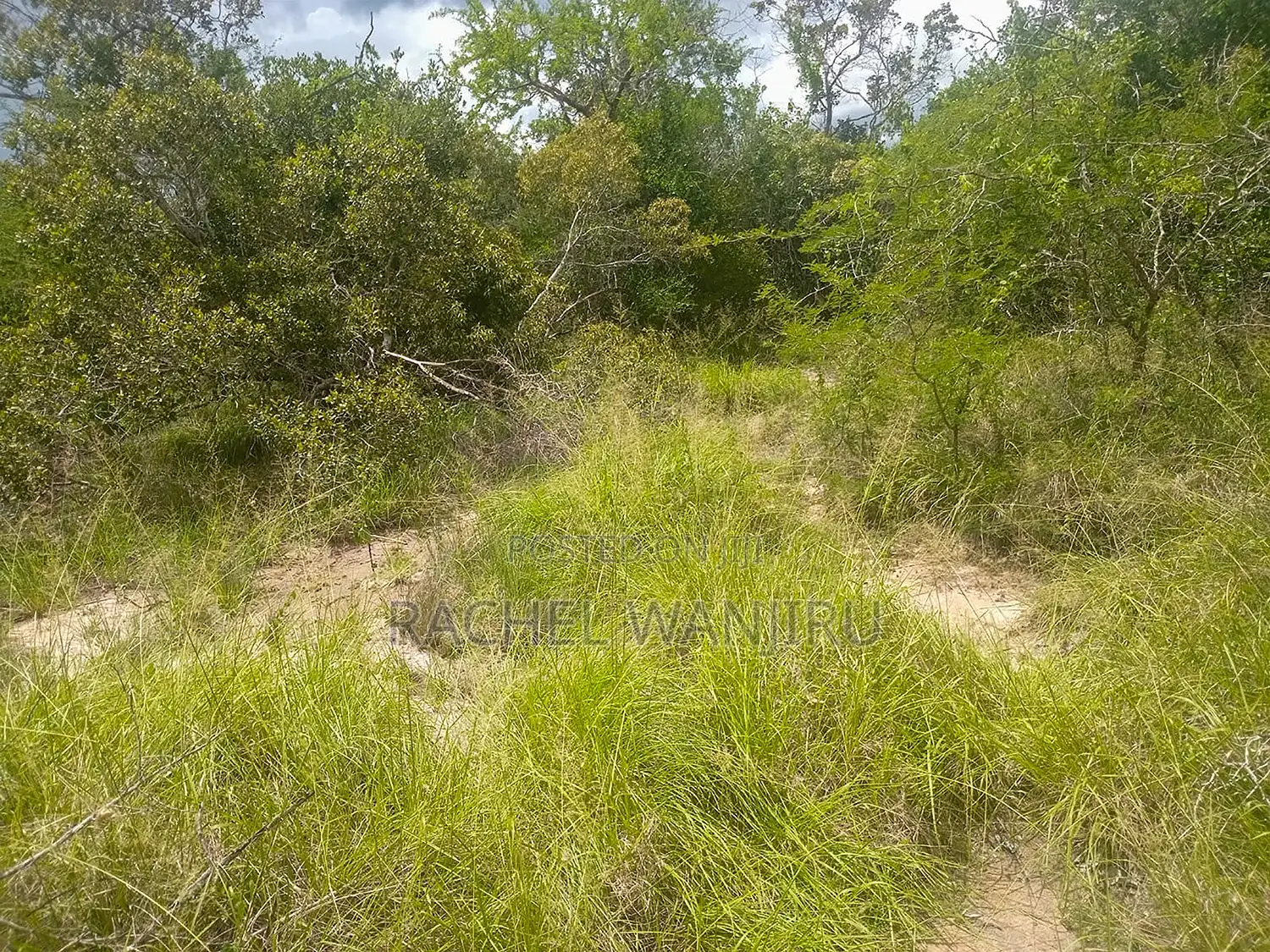 Prime Land for Sale in Malindi