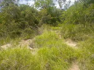 Prime Land for Sale in Malindi