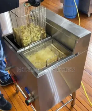 Caterina Brand 17*17 Litres Double Fryers