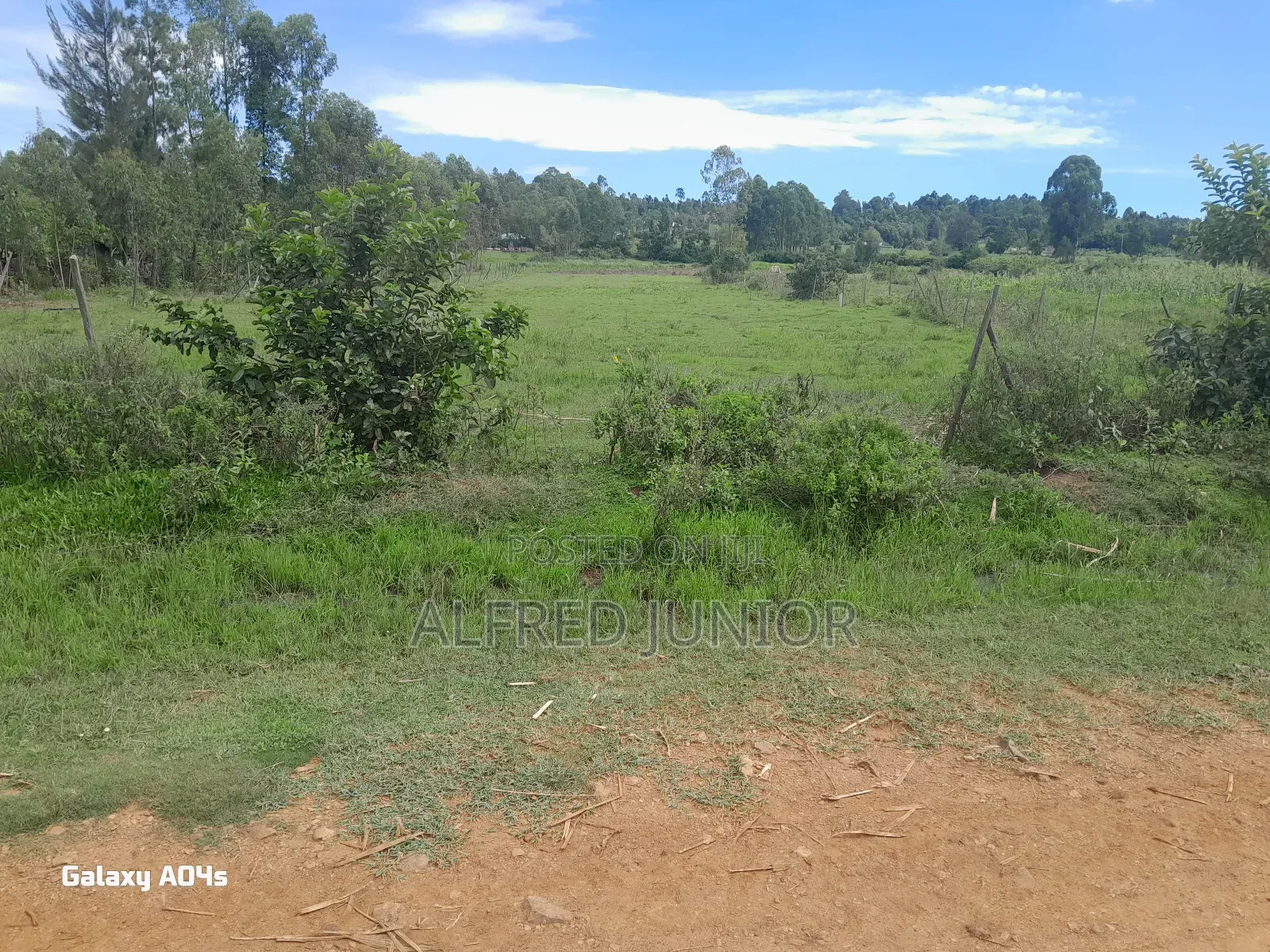 Lands and Property for Sale