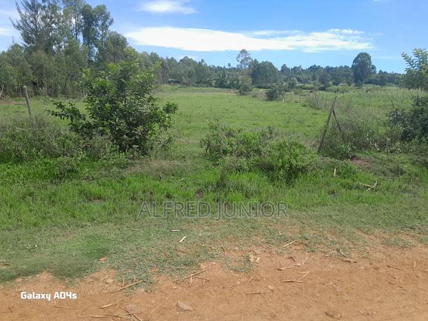 Lands and Property for Sale