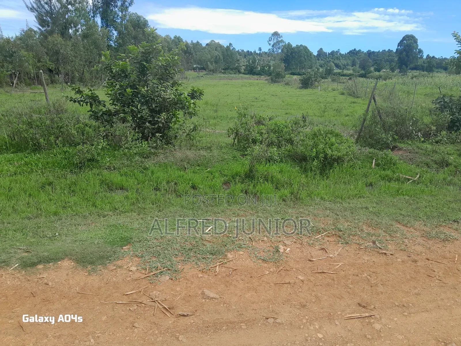 Lands and Property for Sale