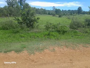 Lands and Property for Sale