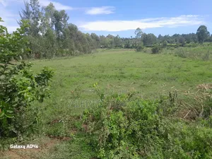Lands and Property for Sale