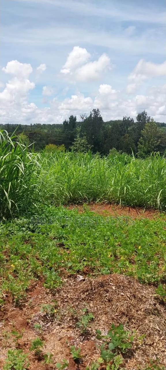 4 Acres on Sale at Makuyu -Mihang'o
