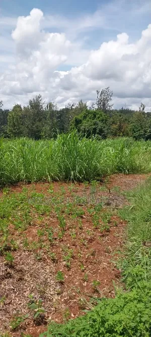 4 Acres on Sale at Makuyu -Mihang'o