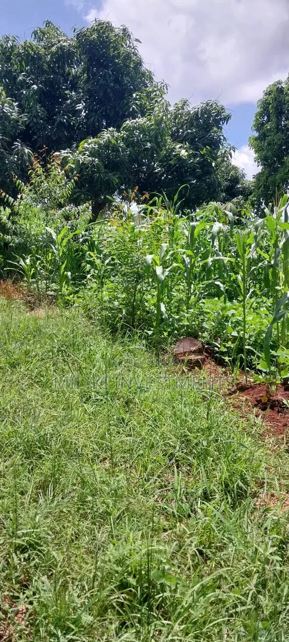 4 Acres on Sale at Makuyu -Mihang'o