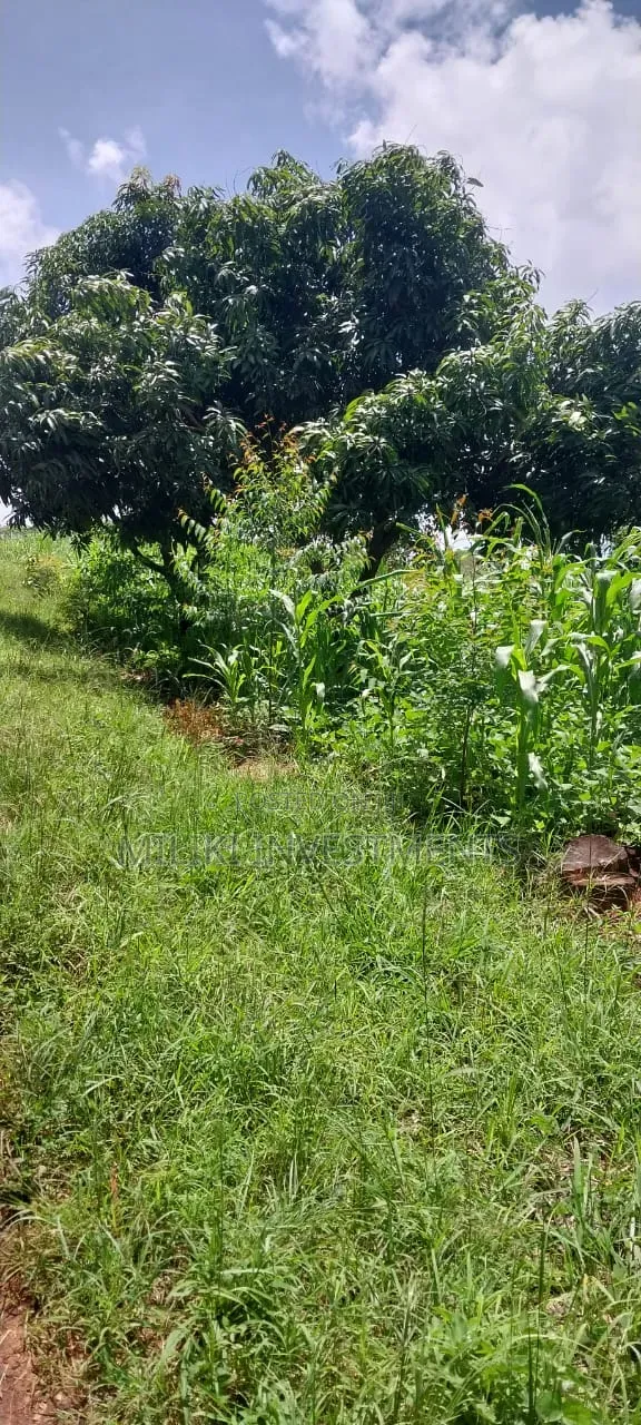 4 Acres on Sale at Makuyu -Mihang'o