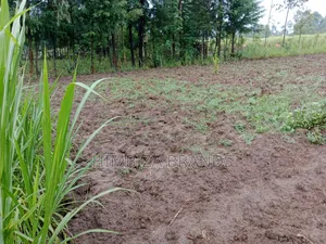 1/4 an Acre Malaha
