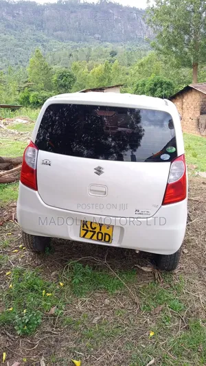 Suzuki Alto 2013 White