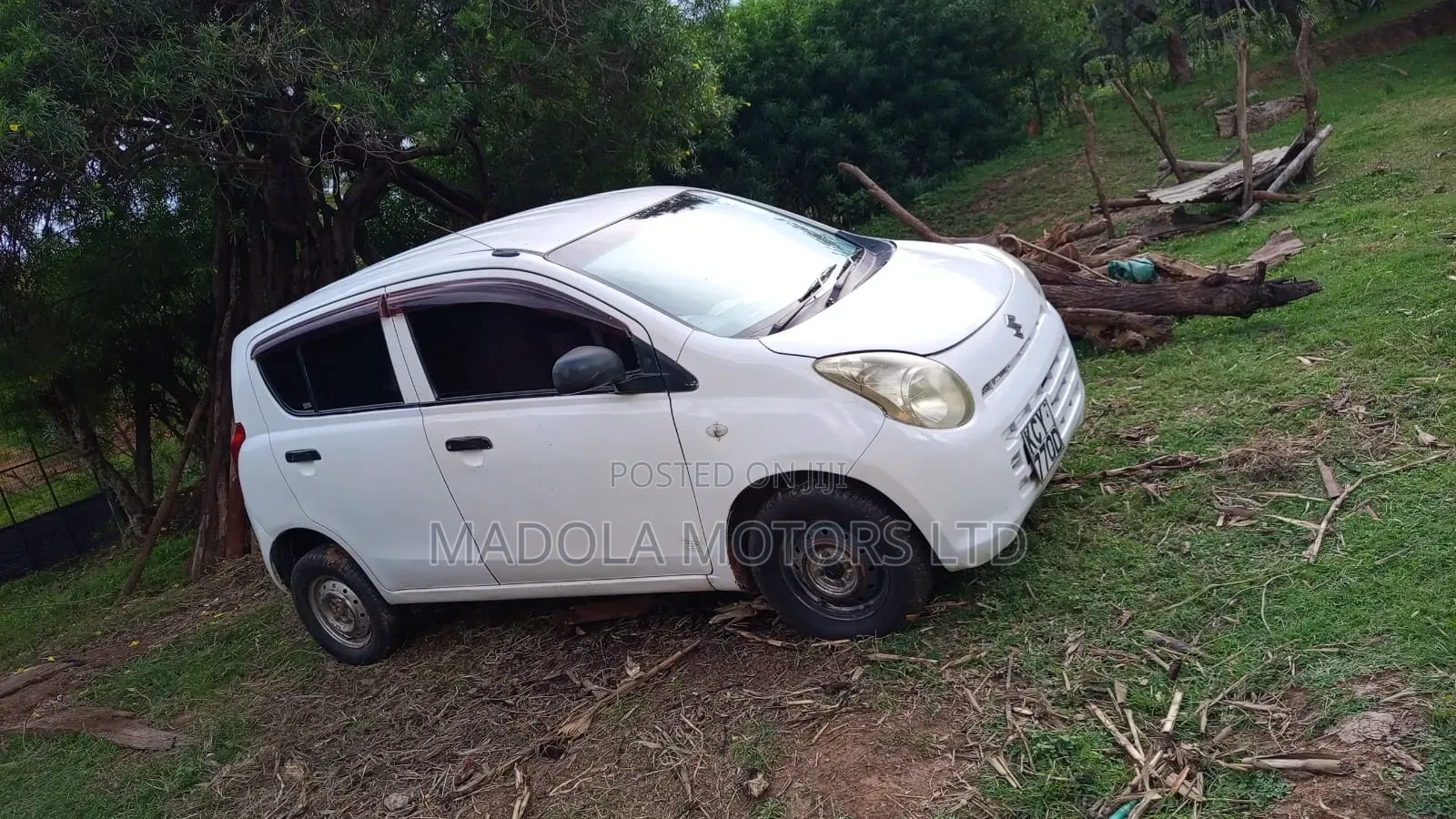 Suzuki Alto 2013 White