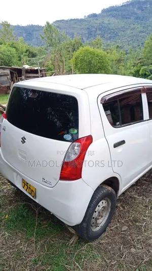 Suzuki Alto 2013 White