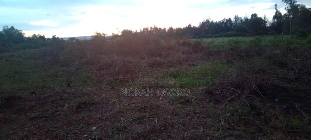 Bondo Barkowino Plots/Land for Sale - thumbnail 2