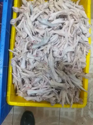 Clean Dog Food