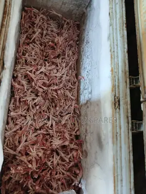 Clean Dog Food