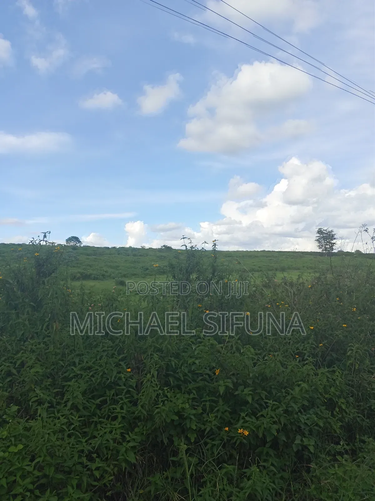 Plots for Sell