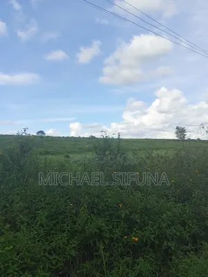 Plots for Sell