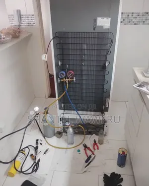 Fridge Repair and Service