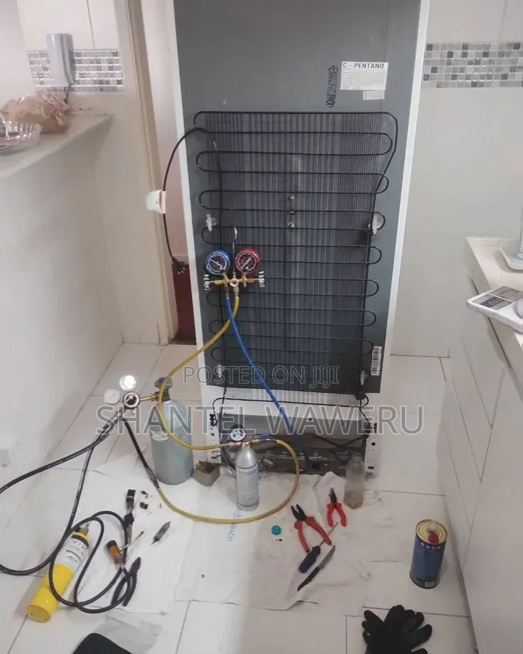 Fridge Repair and Service