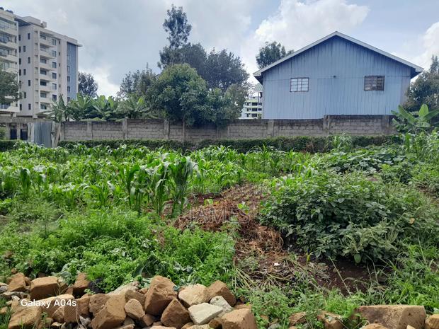 Plot for Sale 50 by 100 Located in Ruaka - thumbnail 4