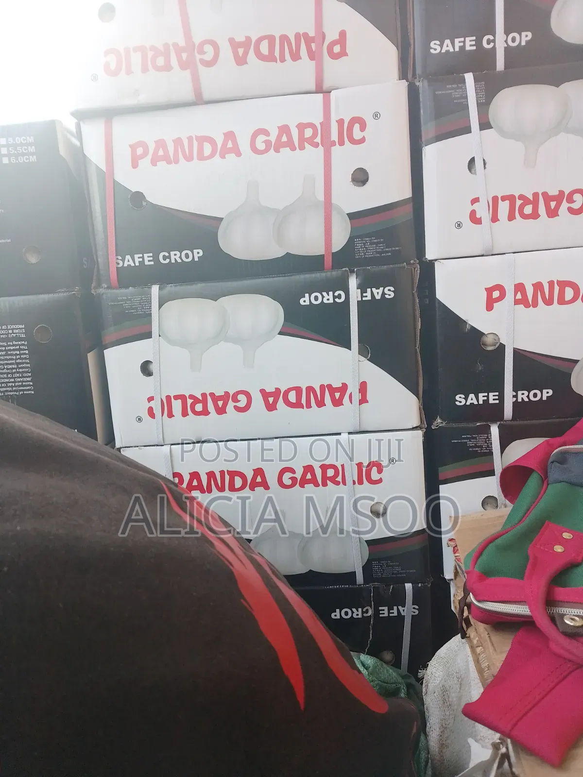 Garlic for Sale
