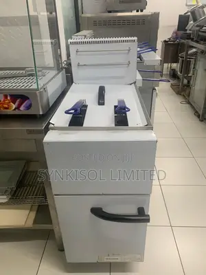 Single Well Gas Fryer