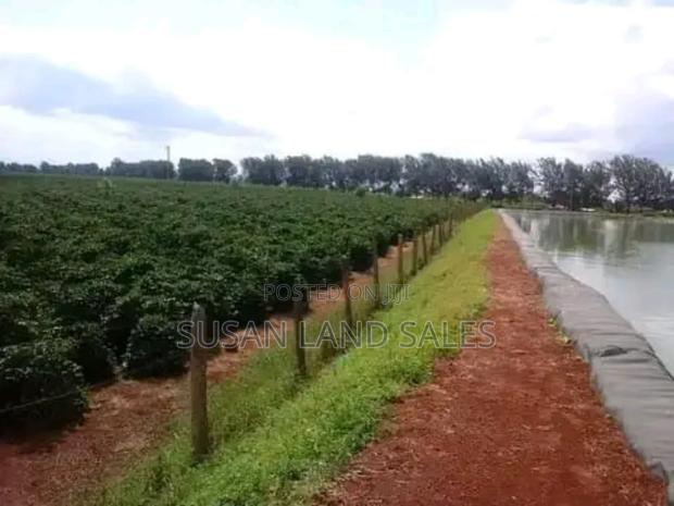 Quick Sale 475 Acres Coffee Land Next to Del Monte Farm