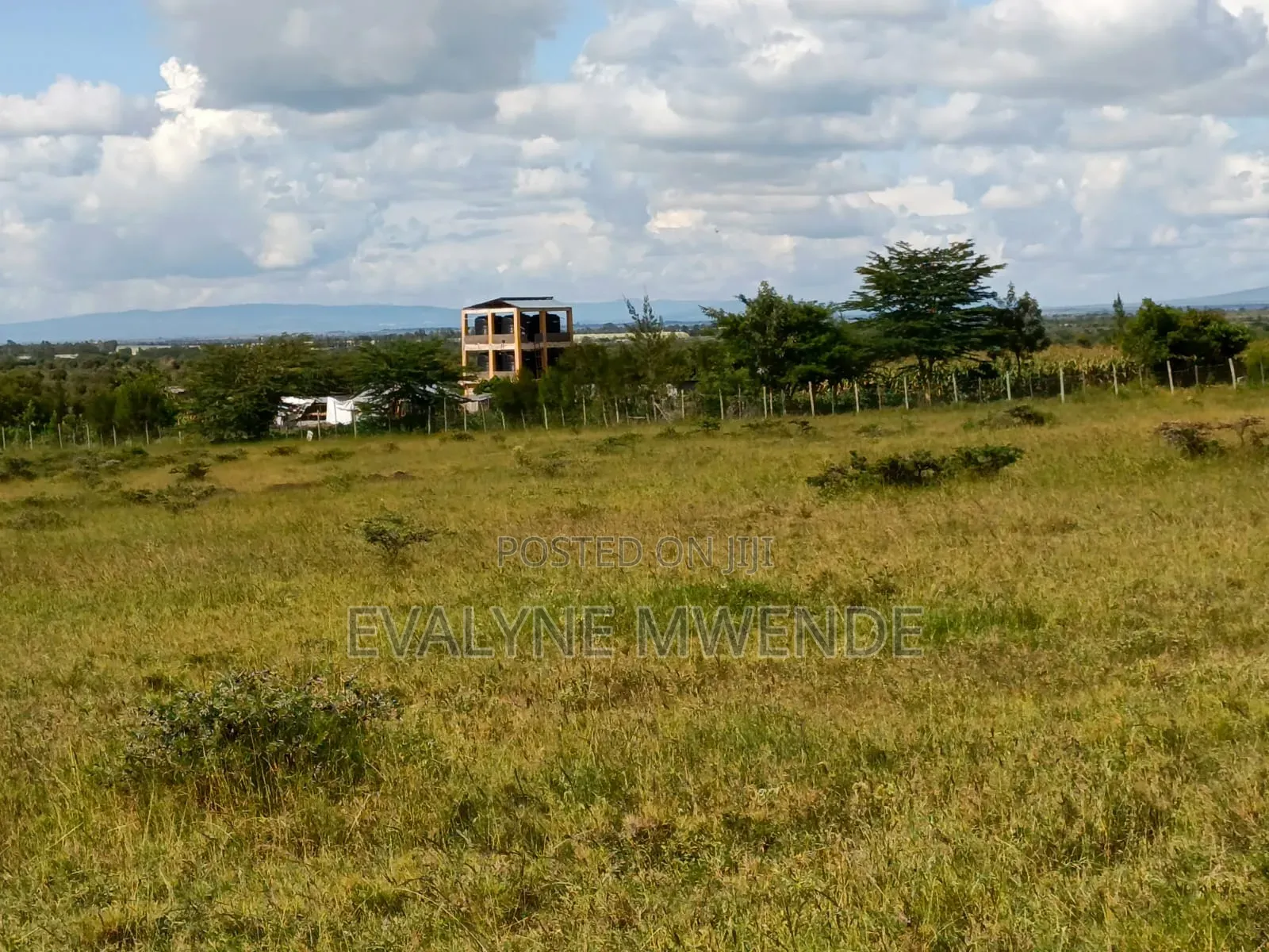 Juja Plots