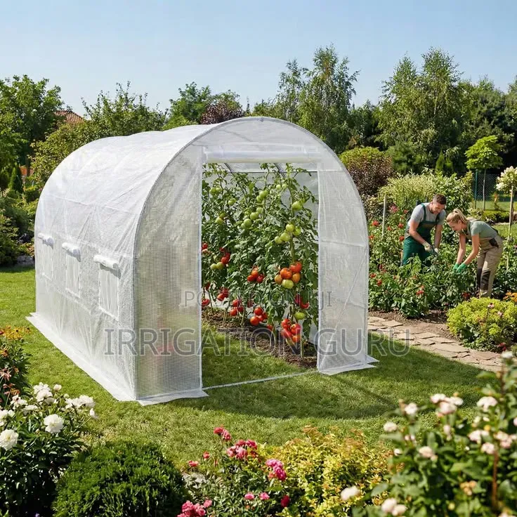 Colorless Green House Polythene