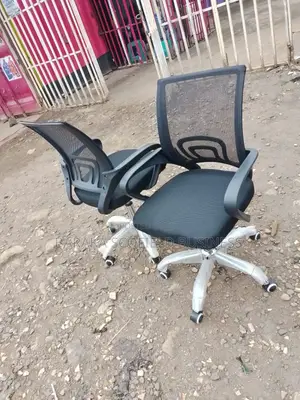 Orthopedic Mesh Office Chair Z