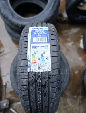 205/55r16 Hansin Way