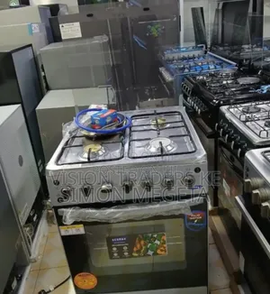 WTH Regulator Ecomax 3+1 60*60 Standing Cooker