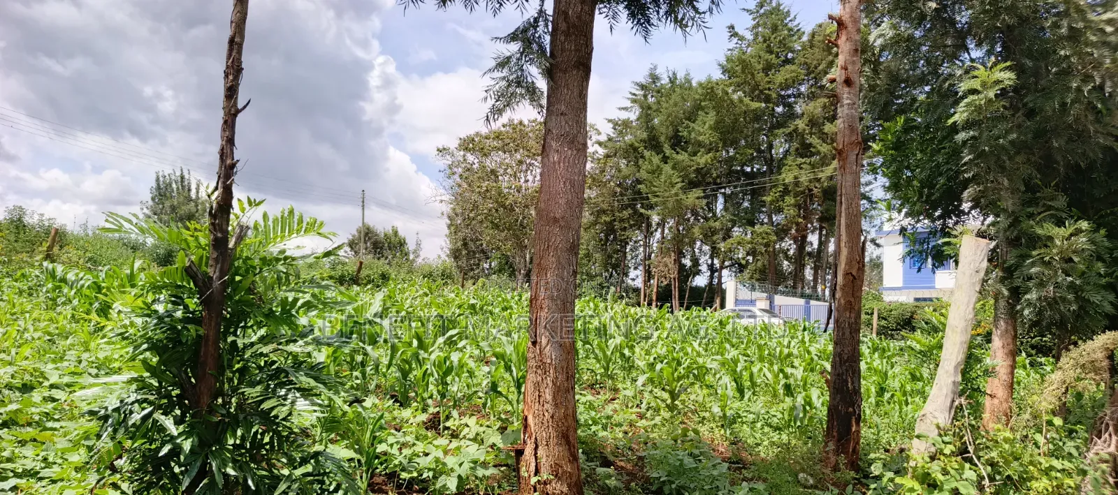 1⁄8(Eighth) Acre Plot for Sale in Ngong 46'