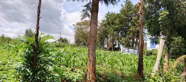 1⁄8(Eighth) Acre Plot for Sale in Ngong 46'