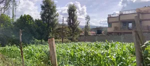 1⁄8(Eighth) Acre Plot for Sale in Ngong 46'