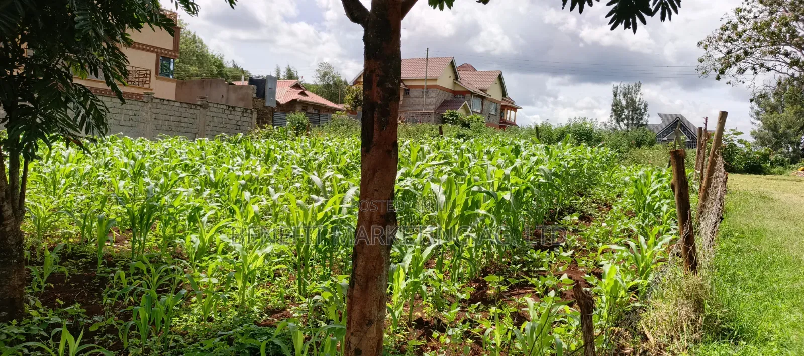 1⁄8(Eighth) Acre Plot for Sale in Ngong 46'