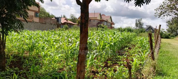 1⁄8(Eighth) Acre Plot for Sale in Ngong 46' - thumbnail 6