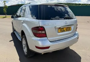 Mercedes-Benz M Class 2010 Silver