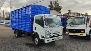 Isuzu NQR 2021