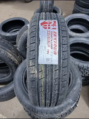 225/55r19 Zextour