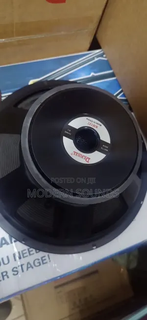 Derwel 12 Inches Speaker