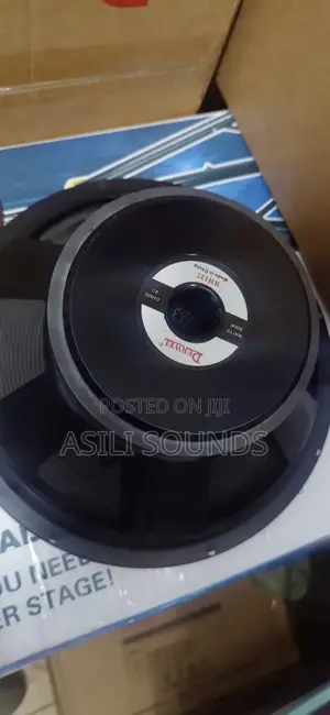Derwel 12 Inches Speaker
