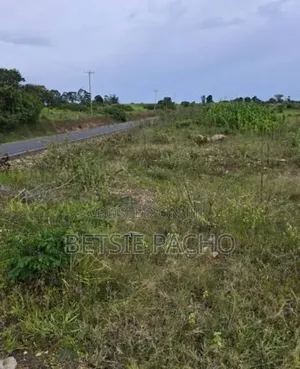 Land in Kilgoris
