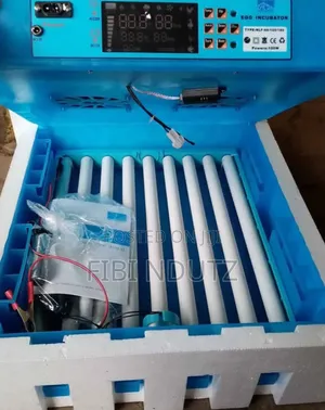 Incubator for Eggs That Holds Up to 64eggs/Incubator