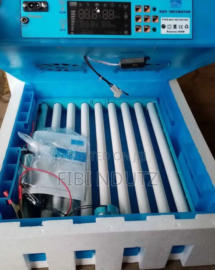Incubator for Eggs That Holds Up to 64eggs/Incubator