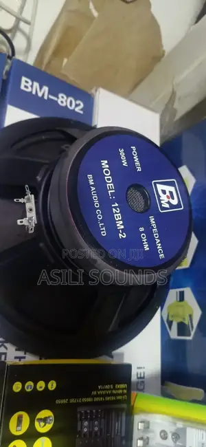 Bm 12 Inches Speaker