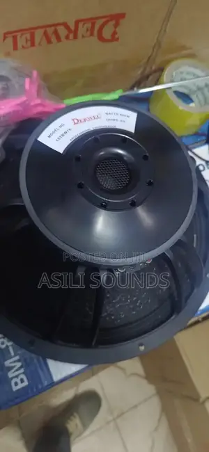 Derwel 15 Inches Speaker