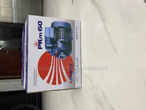 Electric Pedrollo Booster Pump Pkm60