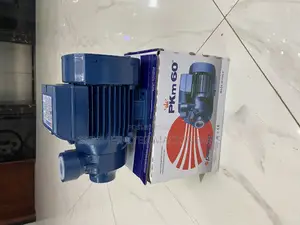 Electric Pedrollo Booster Pump Pkm60
