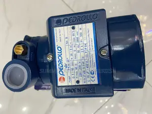 Electric Pedrollo Booster Pump Pkm60